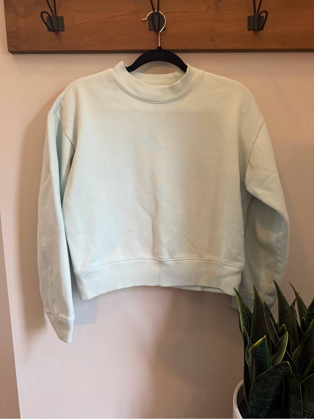 Classic Crewneck Sweatshirt - Pale Mint